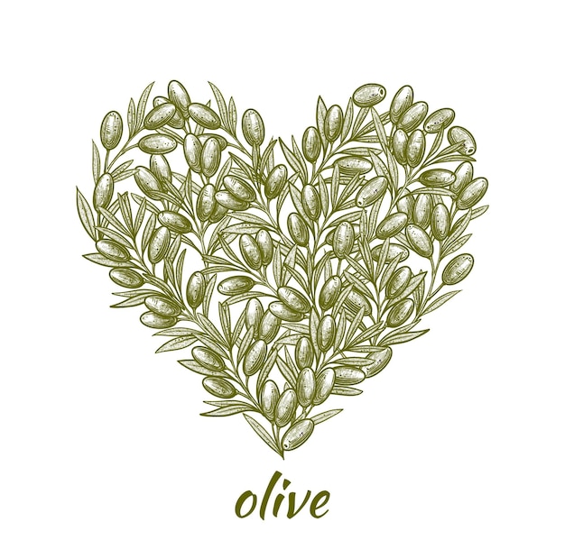 Aceitunas en forma de corazón Ilustración de aceituna dibujada a mano Comida vegetariana Para etiqueta y póster