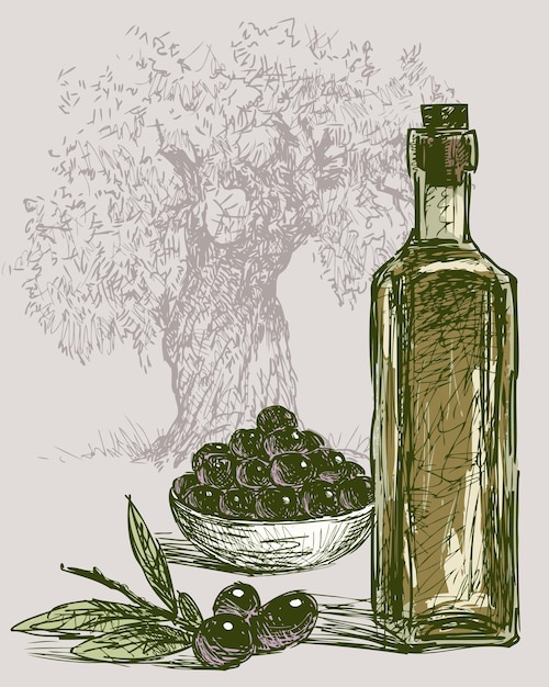 Vector las aceitunas maduras y el aceite de oliva