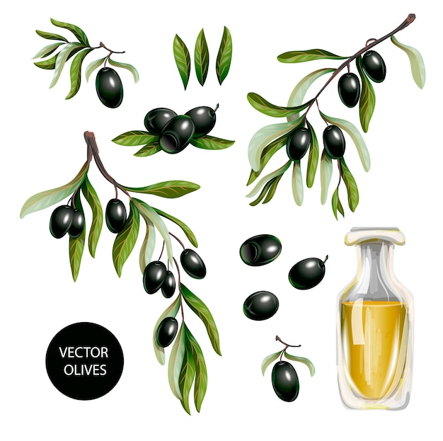 Aceitunas negras y aceite de oliva aislado