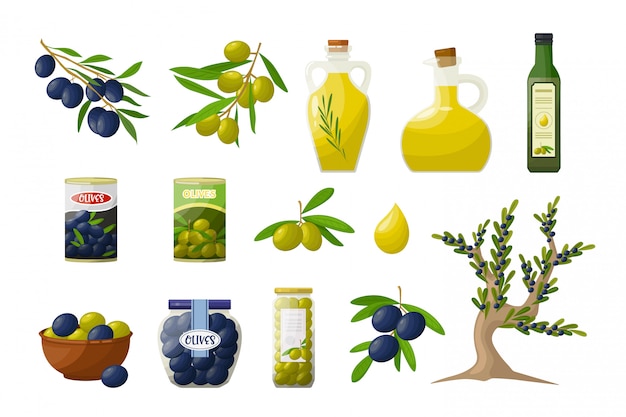 Vector aceitunas y productos