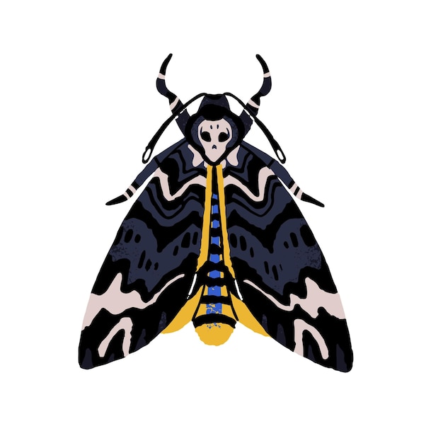 Acherontia atropos polilla de cabeza de muerte africana polilla con patrón de cráneo mariposa mística lepidóptero insecto macro animal naturaleza exótica ilustración vectorial plana aislada dibujada a mano en blanco