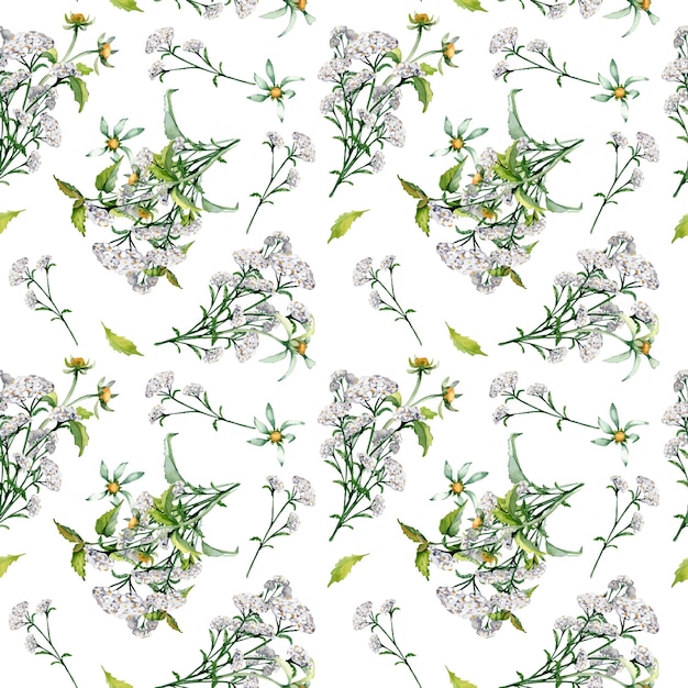 Achillea yarrow ortiga bidens mendigos acuarela patrón sin costuras aislado en blanco flores medicinales pintadas hierbas útiles plantas medicinales dibujadas a mano Diseño para etiqueta embalaje textil