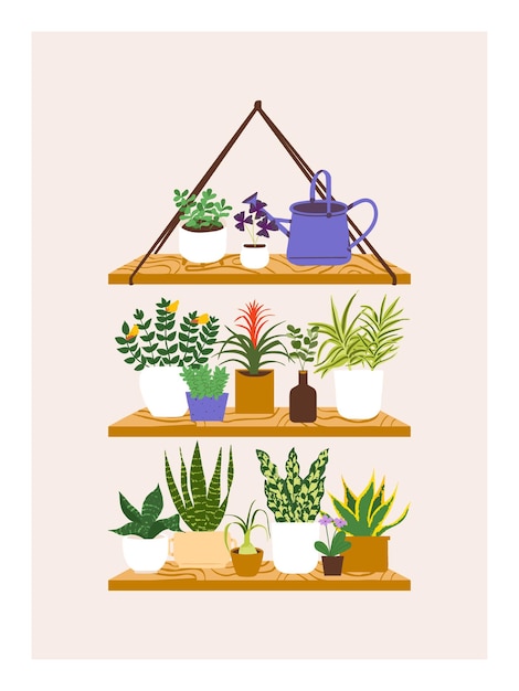 Acogedor hogar ilustración estilo decorativo planta de interior planta en maceta diferentes plantas en diseño de estante