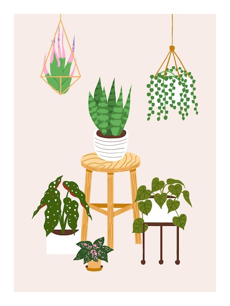 Acogedora decoración del hogar diferentes plantas de interior en maceta silla de madera maceta colgante diseño de ilustración