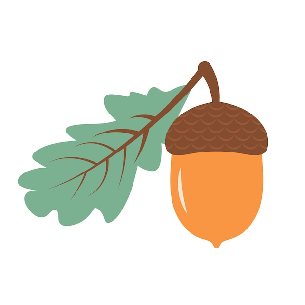 Vector acorn con hoja de roble icono de dibujos animados plano vectorial concepto de otoño de la naturaleza del bosque