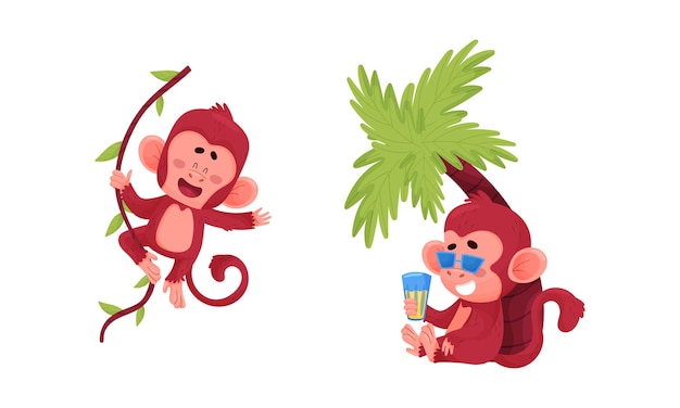Action set de monos divertidos y lindos. Pequeños animales colgando de la vid y relajándose bajo la ilustración vectorial de la palmera.