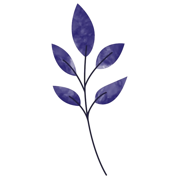 Activo de diseño de elementos florales de acuarela
