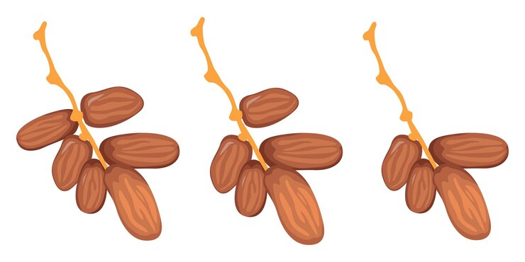 Vector activo vectorial de dátiles y frutas para el ramadán