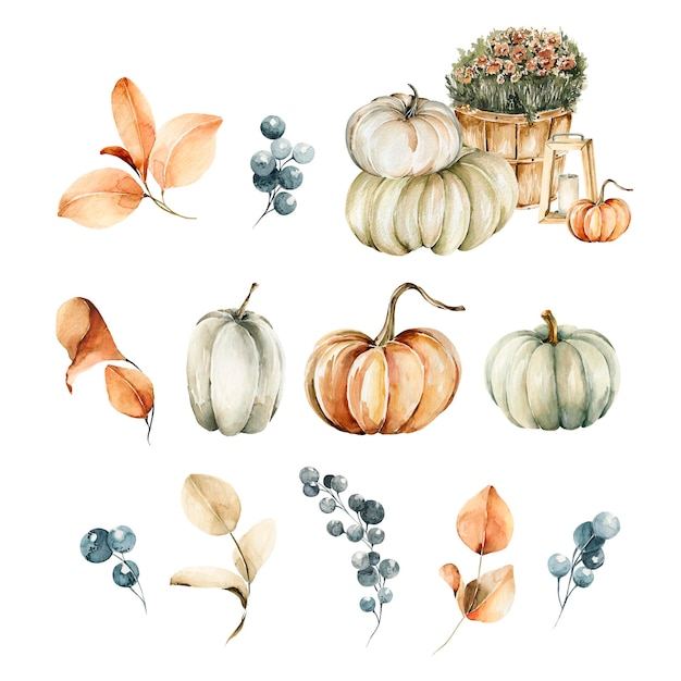 Acuarela acogedor otoño pintado a mano jardín de otoño con calabazas bayas caja para el día de Acción de Gracias