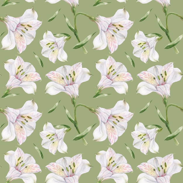 Acuarela alstroemeria verde claro de patrones sin fisuras