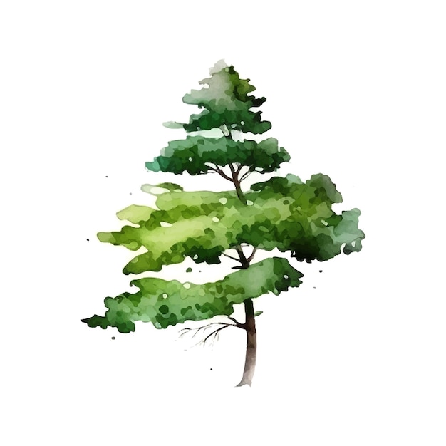 Acuarela árbol mano dibujar vector naturaleza pintura