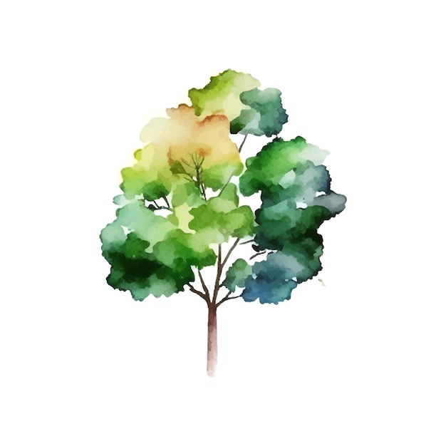 Acuarela árbol mano dibujar vector naturaleza pintura