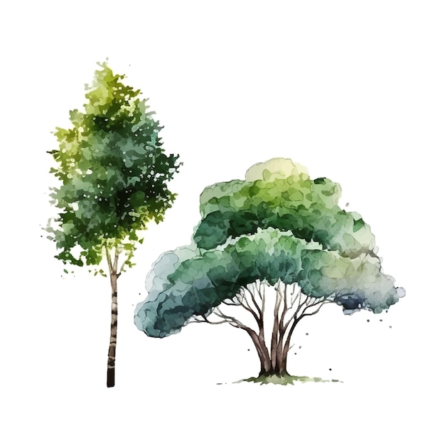 Acuarela árbol mano dibujar vector naturaleza pintura