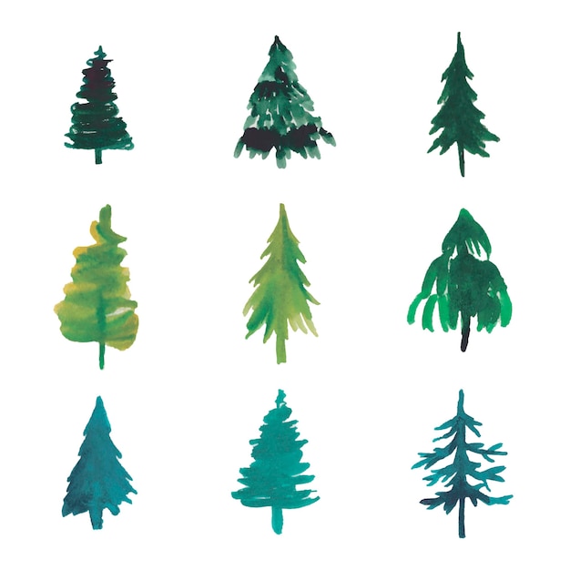 Acuarela árbol de Navidad árboles aislados ilustración vectorial