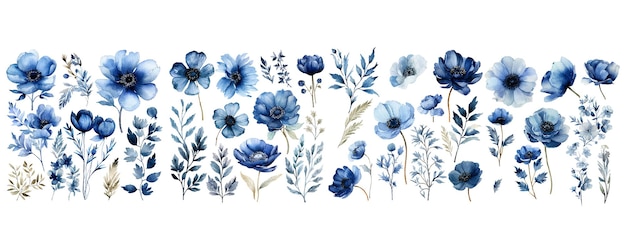 Vector acuarela azul clipart floral