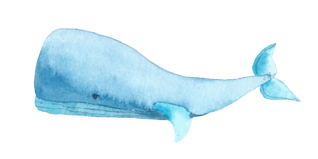 Vector acuarela ballena azul ilustración dibujada a mano de un gran mamífero submarino animal objeto aislado sobre fondo blanco fauna marina y oceánica