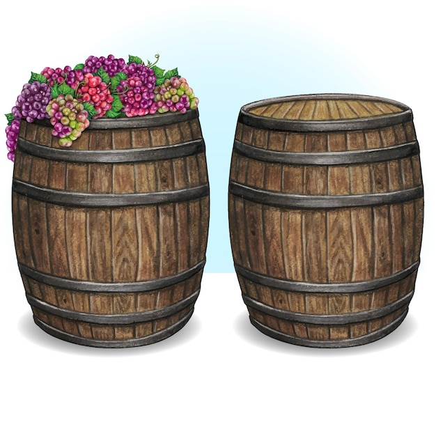 Acuarela Barril de madera con uva