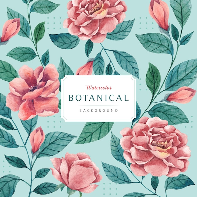 Vector acuarela botánica floral