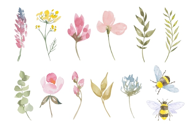 Acuarela botánica vector flores silvestres Dibujado a mano hojas flores rosas elementos florales