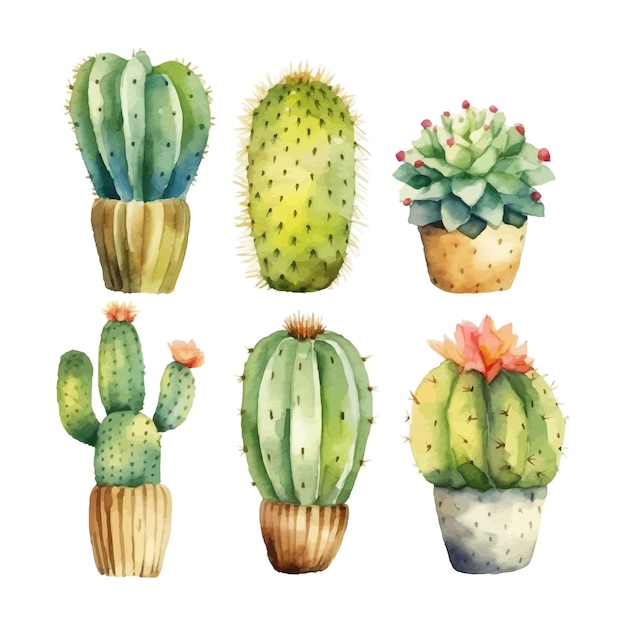 Acuarela cactus conjunto aislado ilustración
