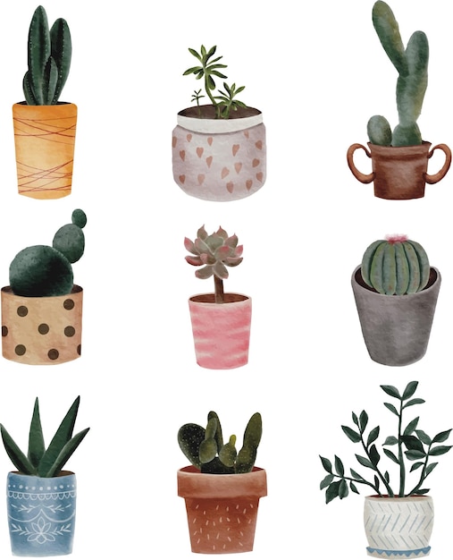 Acuarela de cactus y suculentas
