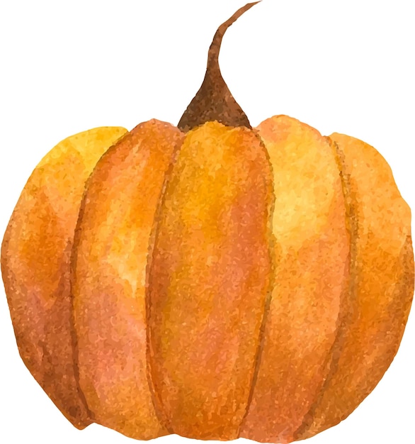 Acuarela de calabaza.