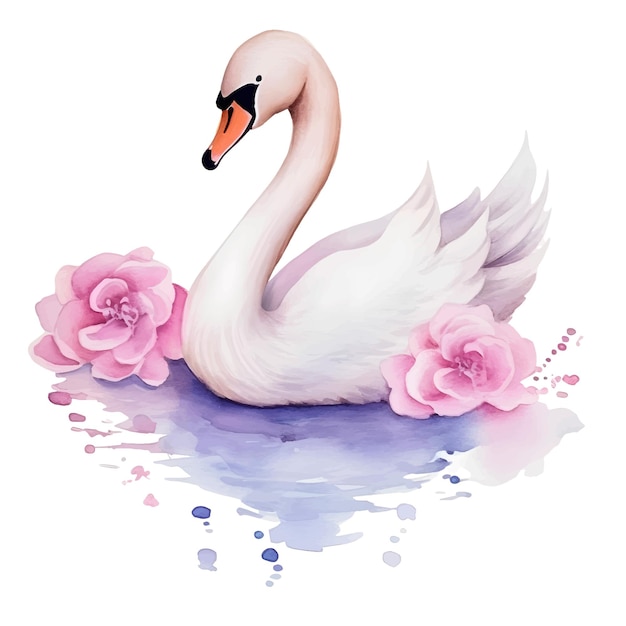 acuarela del cisne animales clipart