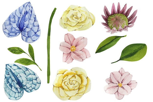 Acuarela conjunto de elementos florales