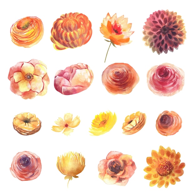 Acuarela conjunto de flores de otoño rojas, naranjas y amarillas, imágenes prediseñadas de flores de otoño