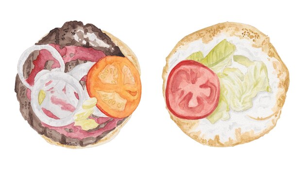 Acuarela conjunto de mitades de hamburguesa dividida