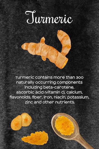 Vector acuarela cúrcuma naranja fresca y seca en tazón de madera y cuchara juego de especias y hierbas de cocina