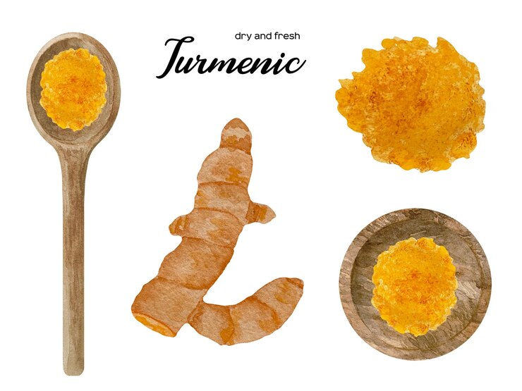 Vector acuarela cúrcuma naranja fresca y seca en tazón de madera y cuchara juego de especias y hierbas de cocina
