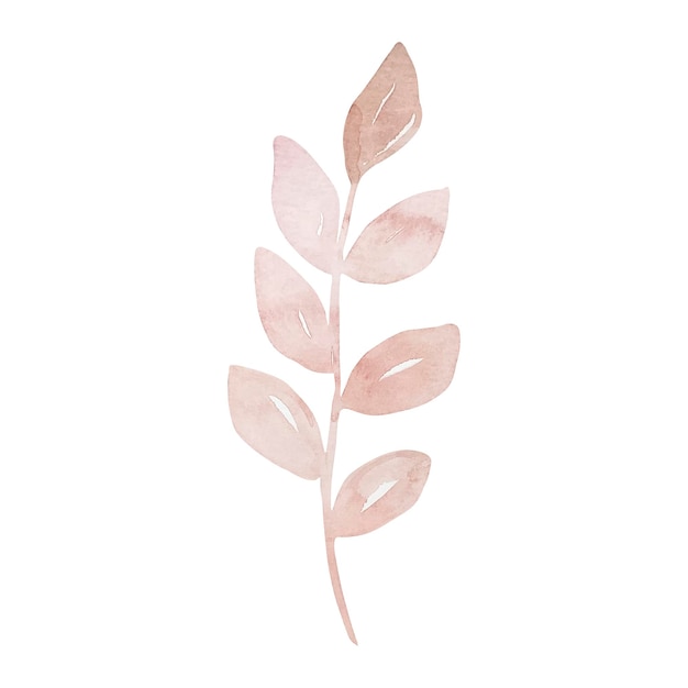 Acuarela delicada rama rosa con hojas florales de otoño