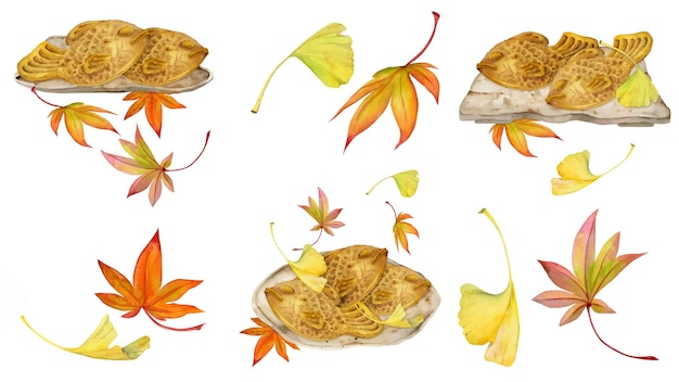 Acuarela dibujada a mano dulces japoneses tradicionales Conjunto de composiciones con marcos de té wagashi taiyaki de otoño Aislado sobre fondo blanco Invitaciones menú de restaurante tarjetas de felicitación impresión textil