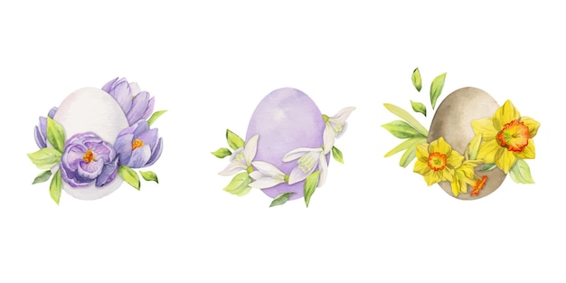 Acuarela dibujada a mano pascua celebración clipart composición de huevos pintados flores de primavera hojas ramita aislado sobre fondo blanco diseño para invitaciones regalos tarjetas de felicitación impresión textil