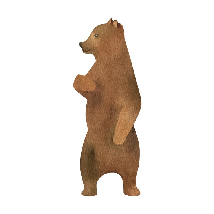 Vector acuarela dibujada a mano de pie oso pardo animal de bosque realista