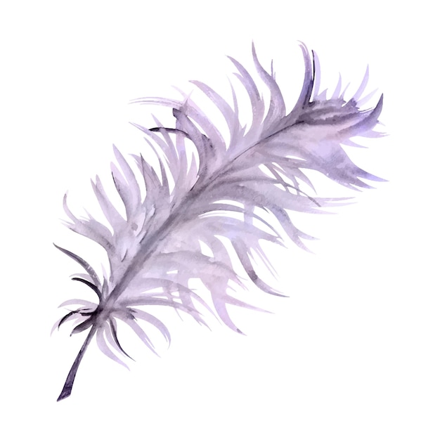 Acuarela dibujada a mano Símbolos del carnaval de Mardi Gras Plumaje de pluma de pájaro Púrpura violeta Lila Un solo objeto aislado en fondo blanco Diseño invitación de fiesta tienda de impresión traje de boda