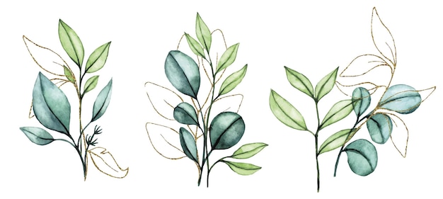 acuarela dibujando un conjunto de ramos de composiciones de hojas de eucalipto transparentes con oro