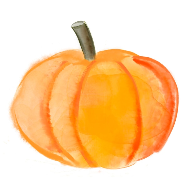 Acuarela dibujo calabaza naranja aislado sobre fondo blanco.