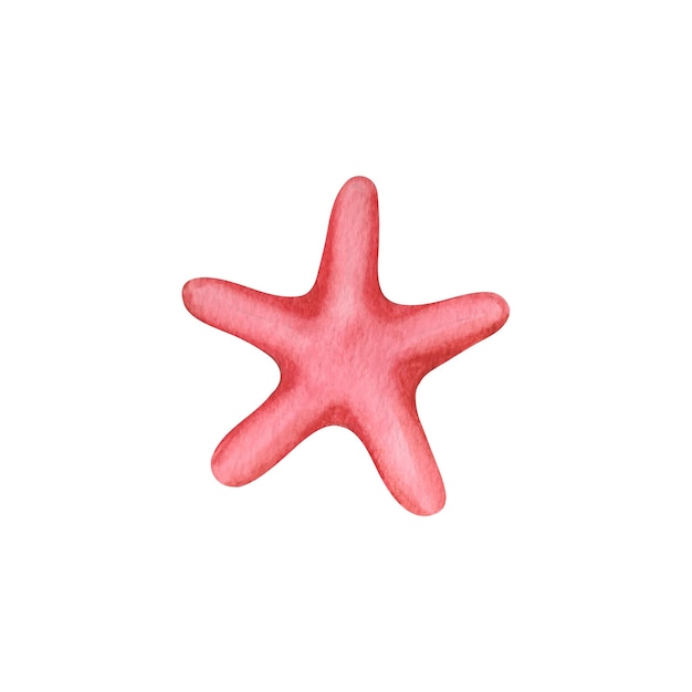 acuarela estrella de mar marina
