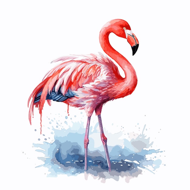 Acuarela flamingo ilustración vectorial dibujos animados de pájaros