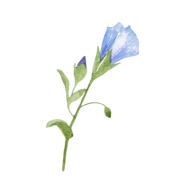 Acuarela flor azul lino cerrado clipart aislado en blanco