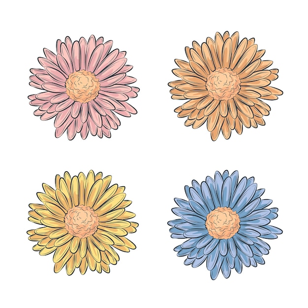 Acuarela flor gerbera y hojas elementos aislados sobre fondo blanco conjunto floral diseño vectorial para invitación boda guardar la fecha tarjeta vacaciones verano diseño