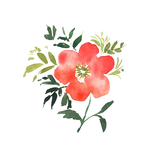 Acuarela flor roja hermosa mano dibujada rosa diseño para en