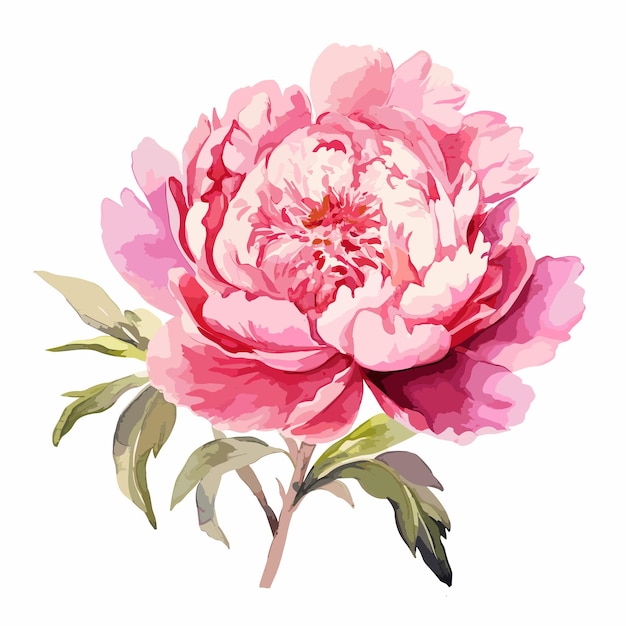 Acuarela flor rosa ilustración digital ramo de flores en diseño vintage