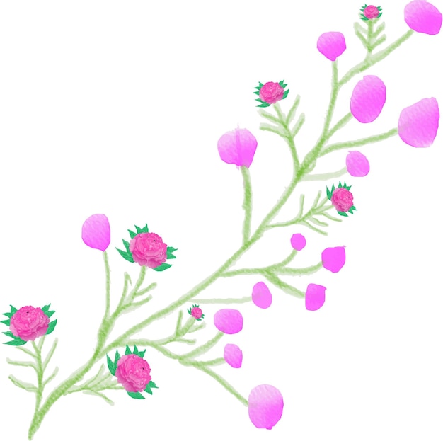 acuarela flores diseño vector art