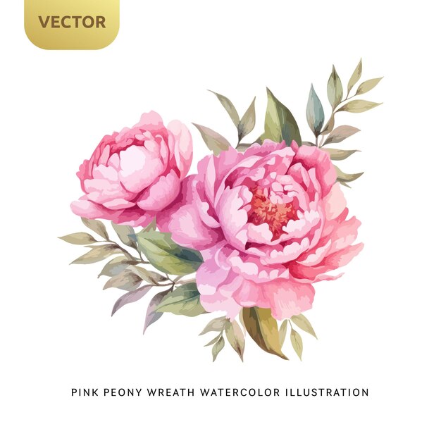 Vector acuarela de flores de peonía rosa vintage aislada sobre fondo blanco elemento floral decorativo para boda san valentín o invitación de amor ilustración vectorial