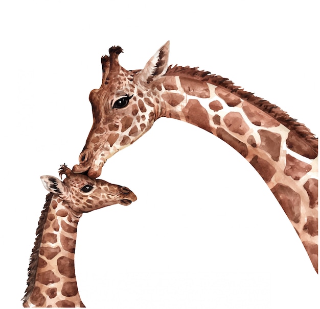 Acuarela jirafa beso bebé. áfrica del sur animal. pintura de jirafa.