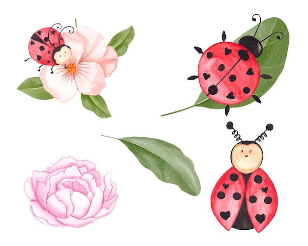 Acuarela Ladybug clipart con hojas, linda ilustración de mariquita