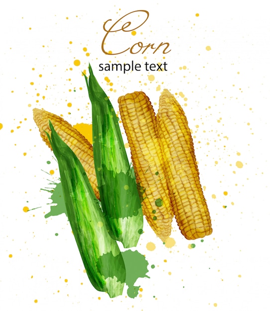 Vector acuarela de maíz